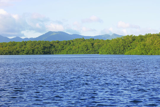 Vibrant landscape | Lake and Greenery - Mountain backdrop with type space