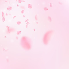 6736992 Sakura petals falling down. Romantic pink flowers corner. Flying petals on pink square background. L