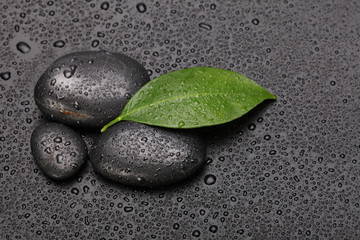 Fototapeta na wymiar black stone and green leaf with drops