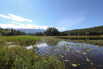 PLatz an einem Spiegelsee in Kanada