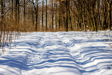 Snow-covered road in the winter forest. Shadows from trees on the snow in the woods_