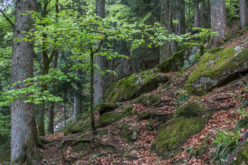 Triberg, Germany	