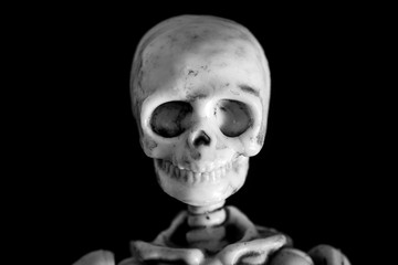 Head and Shoulders portrait of a Skeleton skull on a black background
