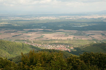 Vineyards by Alsace villages