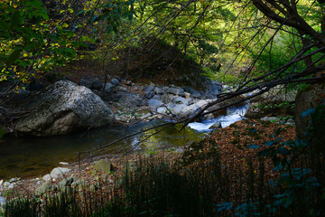 Beautiful river landscape, Armenia