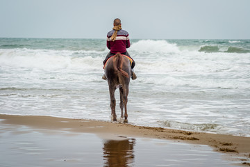 Horse in Saaidia beach