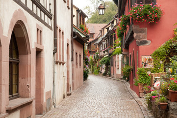 Fototapeta na wymiar Vineyards by Alsace villages