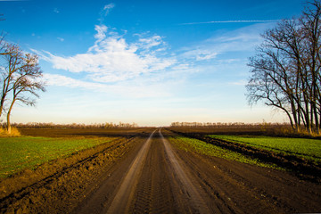 Obraz premium Autumn