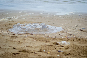 Jellyfish Beach and waves