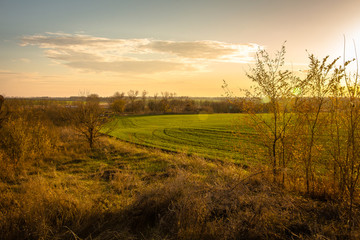 Fototapeta premium Autumn