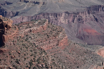 Grand Canyon Landscape