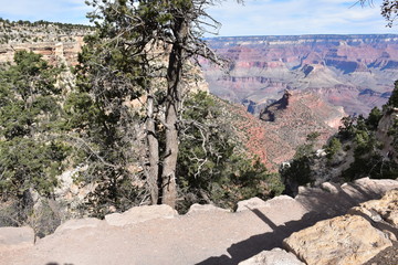 Grand Canyon Landscape