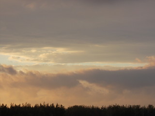 sunset over field