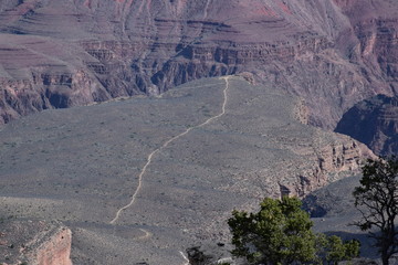 Grand Canyon Landscape
