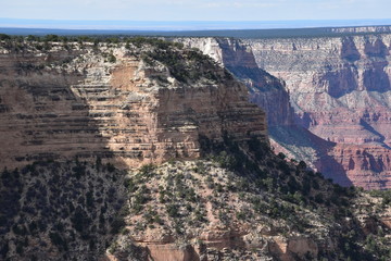 Grand Canyon Landscape