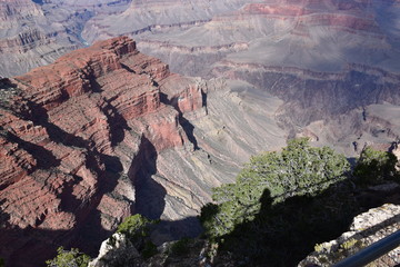 Grand Canyon Landscape