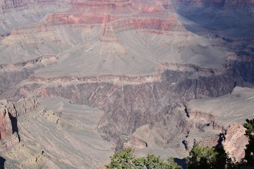 Grand Canyon Landscape