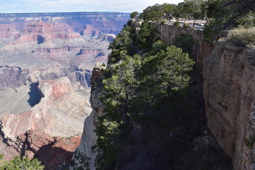 Grand Canyon Landscape