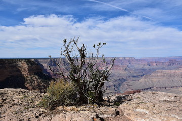 Grand Canyon Landscape