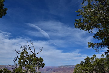 Grand Canyon Landscape