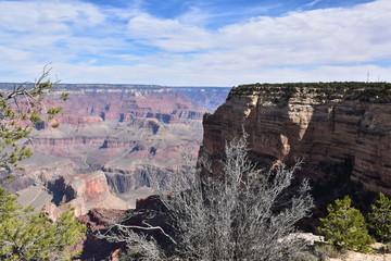 Grand Canyon Nature