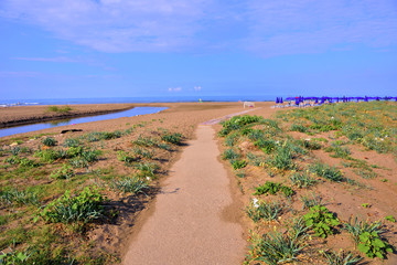 marine panorama of capaccio paestum Cilento Italy