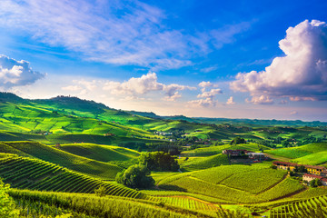 Fototapeta na wymiar Langhe vineyards sunset panorama, Barolo, Piedmont, Italy Europe.