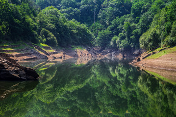 Fototapeta na wymiar Calm waters reflect the forest in a river
