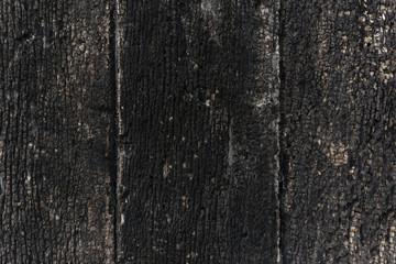 old wood texture background 