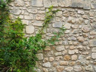 Mur de Provence - obrazy, fototapety, plakaty