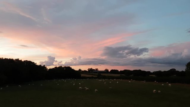 Footage of rural Welsh fields at sunset with sheep in the field.