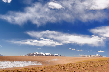 Fototapeta na wymiar Bolivia, the most beautifull Andes in South America.