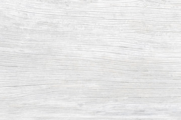 White dry tree. Texture of wood.