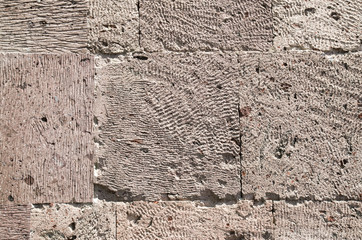 New wall of relief volcanic tuff closeup