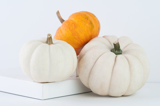 Three Pretty Little Pumpkins