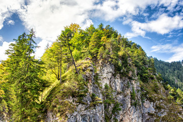 Fototapeta premium View of high mountains wth green forest under blue sky.
