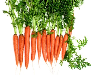 Raw Carrots with Stems