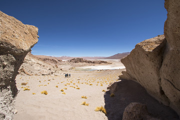 Trekking Gato Andino II