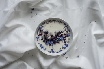 Black, White Blue Yogurt Bowl
