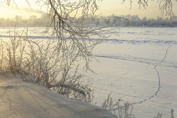 Fototapeta na wymiar Snowy January morning in Nevsky forest Park.