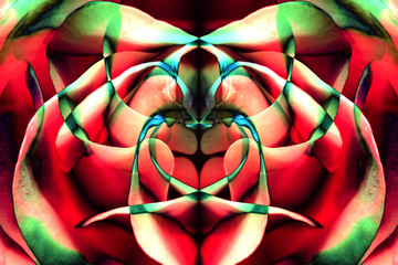 background macro image of a color pattern of rose petals and reflections.