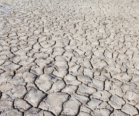 Cracked dry ground