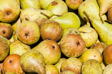 Birne, Concorde, Kultur-Birne, Säulenbirne, Früchte, Obst, Kernobst, Herbst, Ernte, Obstbauer, Herbstfest, Früchtemarkt, Schweiz