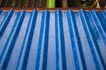 rain on the blue roof