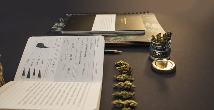 Cannabis bud lineup, stationery, joint, jar, pages on black background