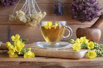 A cup of mullein tea with fresh mullein flowers