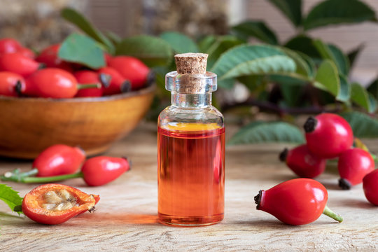 A bottle of rosehip seed oil with fresh rosehips