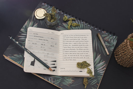 Top view of cannabis heads, notebooks, joint, jar on black background