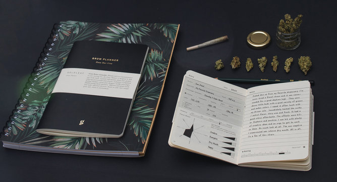 Stationery, cannabis buds and jar on black background