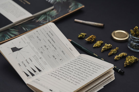 Cannabis buds, notebooks, joint and jar